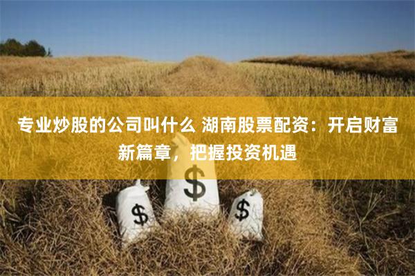 专业炒股的公司叫什么 湖南股票配资：开启财富新篇章，把握投资